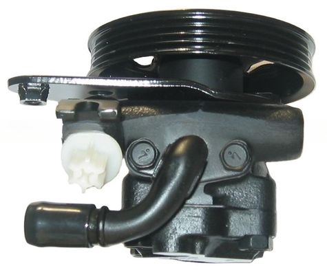 21G72145 Servolenkpumpe für Nissan Maxima A31 A32 Vollständiger Ersatz