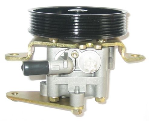 49110-8H305 Servolenkungspumpe für Nissan 2001-2013 Jahr X-Trail T30
