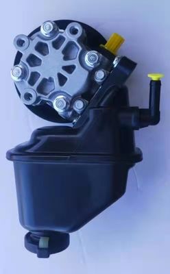 95048324 448188303 135811202 Servolenkungspumpe Für 2006-2011 Chevrolet Captiva mit 1
