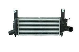 OE Nr. 14461-EB360 Zwischenkühler für Navara D40