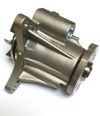 10 Tage Lieferung Wasserpumpe LR009324 für Land Rover Discovery L319